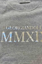 Load image into Gallery viewer, Shimmer Hoodie