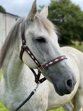 Load image into Gallery viewer, Polo Head Collars