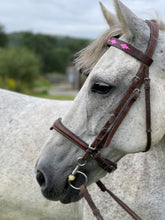Load image into Gallery viewer, Polo Brow Bands