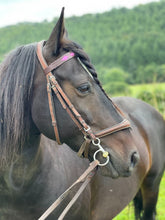 Load image into Gallery viewer, Polo Brow Bands