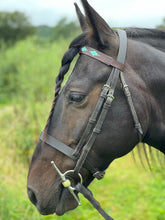 Load image into Gallery viewer, Polo Brow Bands