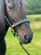 Load image into Gallery viewer, Polo Head Collars