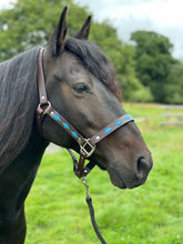 Load image into Gallery viewer, Polo Head Collars