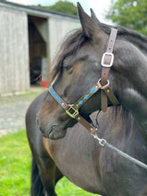 Load image into Gallery viewer, Polo Head Collars