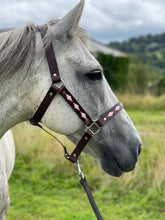 Load image into Gallery viewer, Polo Head Collars
