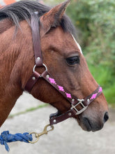 Load image into Gallery viewer, Polo Head Collars - Outlet