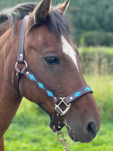 Load image into Gallery viewer, Polo Head Collars - Outlet